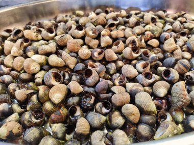 Bigarolar, pişmiş deniz salyangozları, Asturias, İspanya ve Avrupa 'da elma şarabı içerken tipik bir eşlik.