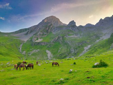 El Meicin yakınlarındaki çayırlar, Ubias La Mesa Doğal Parkı, Asturias, İspanya