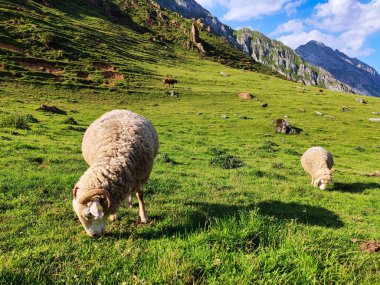 Tuiza de Arriba köyünden El Meicin 'e, Ubias La Mesa Doğal Parkı, Asturias, İspanya