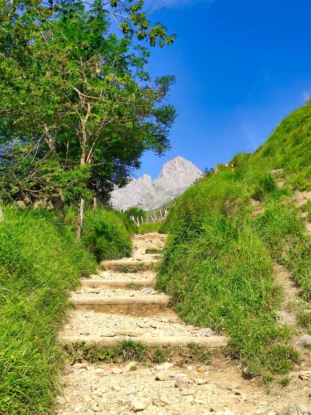 Tuiza de Arriba köyünden El Meicin 'e giden yol, Pena Ubina Doğal Parkı, Asturias, İspanya, Avrupa