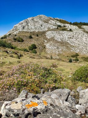 Puertos de Marabio Doğal Anıtı, Teverga ve Yernes y Tameza belediyeleri, Asturias, İspanya