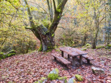 La Pesanca dinlenme alanı, Infierno vadisi, Riofabar köyü, Pilona belediyesi, Asturias, Kuzey İspanya, Avrupa