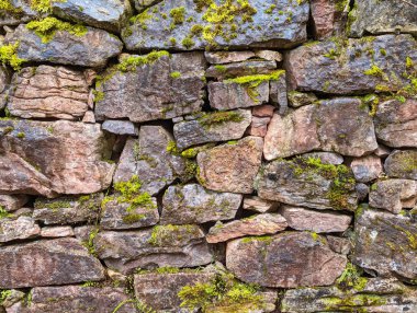 Yosunlu taş duvar dokusu, Somiedo, Asturias, İspanya, Avrupa