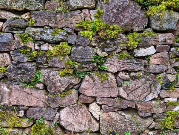 Mossy stone wall texture, Somiedo, Asturias, Spain, Europe
