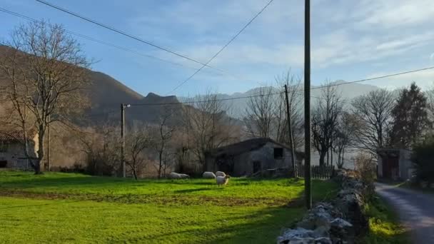 西班牙阿斯图里亚斯Espinaredo或Espinareu山谷Porciles村 — 图库视频影像