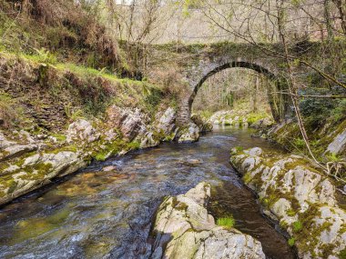 Villayon, Asturias, İspanya ve Avrupa 'daki Polea Nehri üzerindeki antik Roma köprüsü