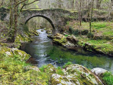 Villayon, Asturias, İspanya ve Avrupa 'daki Polea Nehri üzerindeki antik Roma köprüsü