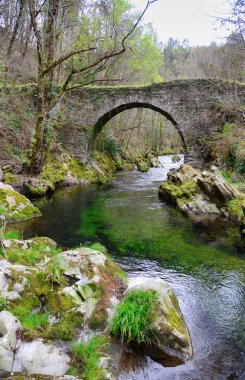 Villayon, Asturias, İspanya ve Avrupa 'daki Polea Nehri üzerindeki antik Roma köprüsü