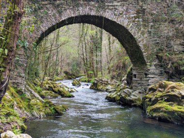 Villayon, Asturias, İspanya ve Avrupa 'daki Polea Nehri üzerindeki antik Roma köprüsü