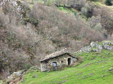 Redes Doğal Parkı, Asturias, İspanya 'da tipik bir kulübe ve çayır.