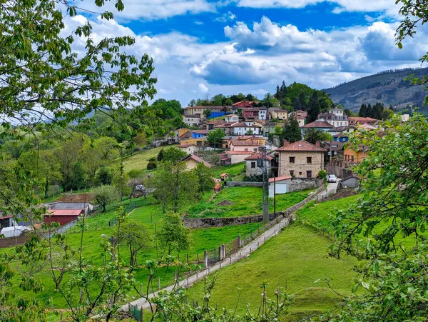 Ceceda Köyü, Comarca de la Sidra, Nava, Asturias, İspanya