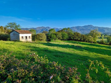 Cabin and meadows, Nava municipality, Comarca de la Sidra, Asturias, Spain clipart