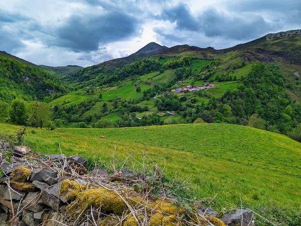 Arka planda Meadows ve Pena Manteca, Belmonte de Miranda municipailty, Asturias, İspanya