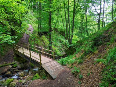 Vigueras tepesi ve Ventana yolu, Teverga belediyesi, Ubinas La Mesa Doğal Parkı, Asturias, İspanya