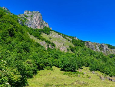 La Llamera köyü yakınlarındaki orman ve kayalar, Somiedo Doğal Parkı ve Biyosfer Rezervi, Asturias, İspanya
