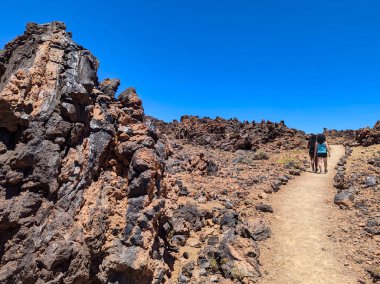 Path to visit the ancient cedar known as El Patriarca from San Jose mines, Teide National Park, Tenerife, Spain clipart