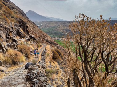 GR131 parçası Tazacorte 'den El Time' a, La Palma Adası, Kanarya Adaları, İspanya, Avrupa