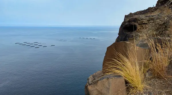 stock image Sea bass and sea bream marine farm in front of Tijarafe cliffs, La Palma, Canary Islands, Spain