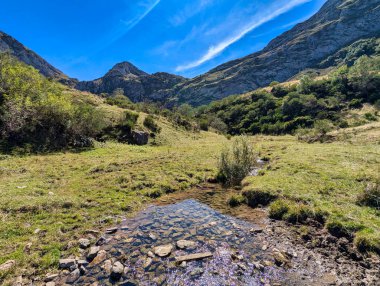 Creek at Brana de Sousas flock of shepherds in Somiedo Natural Park and Biosphere Reserve, Asturias, Spain clipart