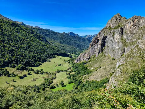 stock image Beech forest near Valle de Lago village, Somiedo Natural Park and Biosphere Reserve, Asturias, Spain