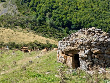 Corros, tipik Brana de Sousas kulübeleri Somiedo Doğal Park ve Biyosfer Koruma Alanındaki çoban sürüsü, İspanya, Asturias