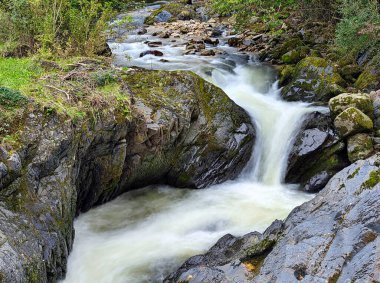 Espinareu ya da Espinaredo nehri sonbaharda, Pilona, İspanya