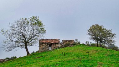 Cabin and tree in autumn near Felechosa village, Aller, Asturias, Spain clipart