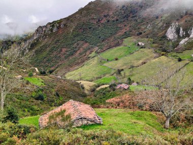 La Valencia 'daki kulübe, orman ve dağlar, Retrinon Dağı, Felechosa köyü, Aller, Asturias, İspanya