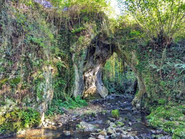 Tuernes nehrinden Los Covarones, Llanera, Asturias, İspanya, Avrupa