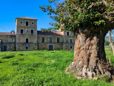 Villanueva Sarayı, San Cucuface de Llanera Köyü, Asturias, İspanya