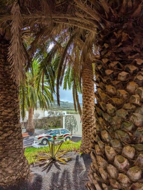 Özel baskı Seat Ibiza, sanatçı Cesar Manrique tarafından tasarlandı. Haria Village, Lanzarote, Kanarya Adaları 'ndaki ev müzesinde.