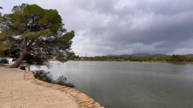 İspanya 'nın Mallorca, Alcudia kentindeki Es Llac Gran Gölü kıyısında.