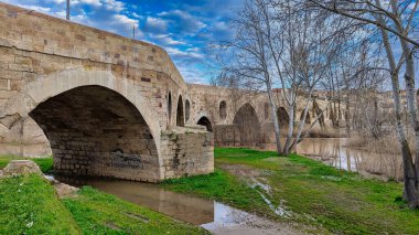Douro nehri üzerindeki taş köprü. Zamora şehri, Kastilya-Leon, İspanya