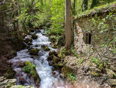 La Rebollada köyü, Somiedo Doğal Parkı ve Biyosfer Rezervi, Asturias, İspanya, Avrupa yakınlarındaki bir dere.