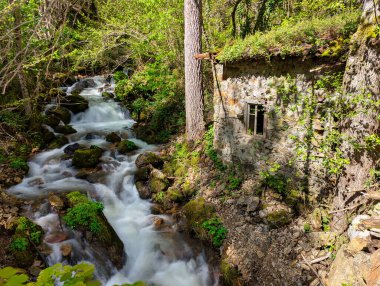 La Rebollada köyü, Somiedo Doğal Parkı ve Biyosfer Rezervi, Asturias, İspanya, Avrupa yakınlarındaki bir dere.