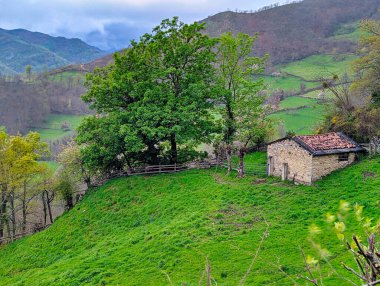 La Fuente köyü yakınlarındaki kulübe, Aller belediyesi, Asturias, İspanya, Avrupa