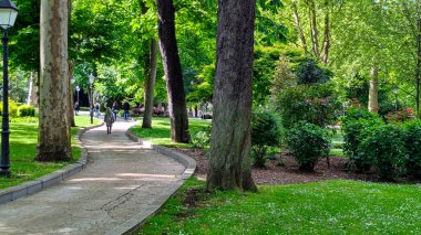Campo de San Francisco Parkı, Oviedo Şehri, Asturias, İspanya