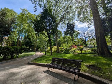 Campo de San Francisco Parkı, Oviedo Şehri, Asturias, İspanya