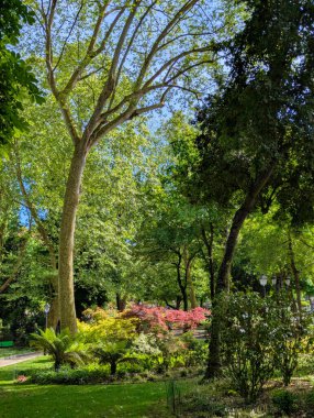 Campo de San Francisco Parkı, Oviedo Şehri, Asturias, İspanya