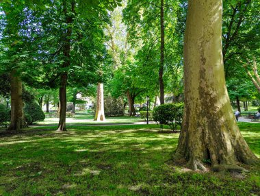 Campo de San Francisco Parkı, Oviedo Şehri, Asturias, İspanya