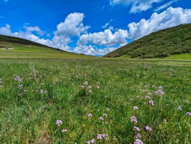 Taja köyü yakınlarındaki Cueiro çayırları, Teverga belediyesi, Ubinas-La Mesa Park, Asturias, İspanya