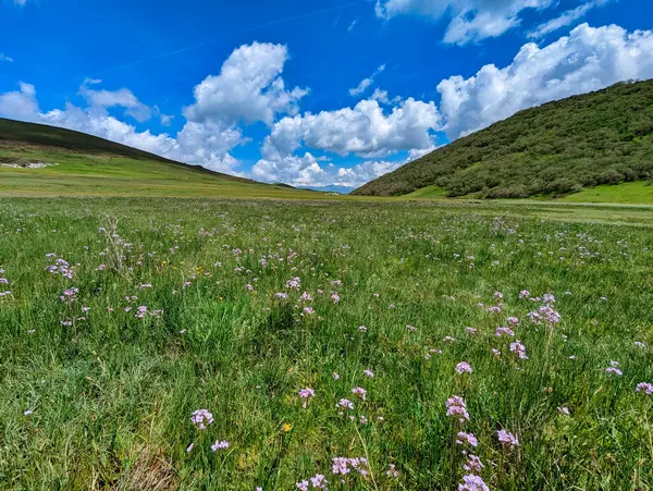 Taja köyü yakınlarındaki Cueiro çayırları, Teverga belediyesi, Ubinas-La Mesa Park, Asturias, İspanya