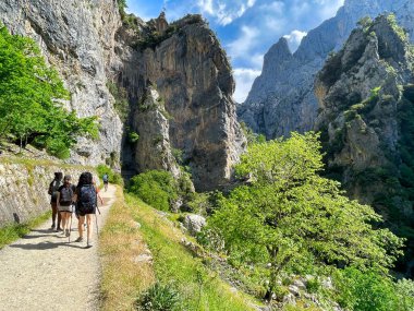 İnsanlar Asturias ve Leon vilayetleri arasındaki Picos de Europa Ulusal Parkı 'ndaki Ruta del Cares Kanyonu' nda yürüyorlar.