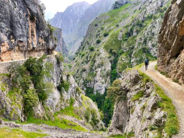 İnsanlar Asturias ve Leon vilayetleri arasındaki Picos de Europa Ulusal Parkı 'ndaki Ruta del Cares Kanyonu' nda yürüyorlar.