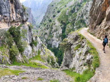 Asturias ve Leon vilayetleri arasındaki Picos de Europa Ulusal Parkı 'ndaki Ruta del Cares Kanyonu yolunda yürüyen bir adam.