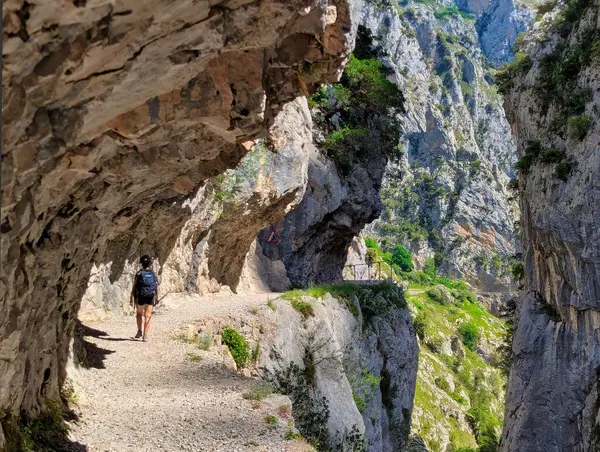 İnsanlar Asturias ve Leon vilayetleri arasındaki Picos de Europa Ulusal Parkı 'ndaki Ruta del Cares Kanyonu' nda yürüyorlar.