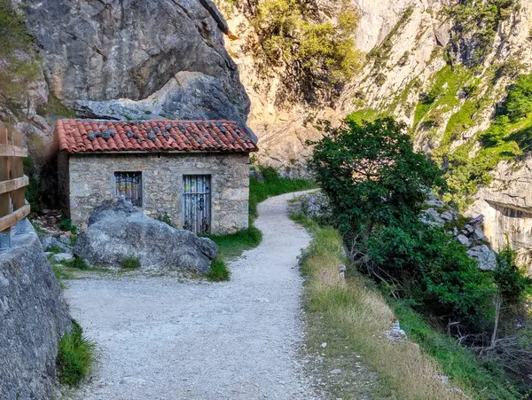 Asturias ve Leon vilayetleri arasındaki Picos de Europa Ulusal Parkı 'ndaki Ruta del Cares Kanyonu rotası.
