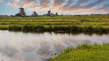 Günbatımında Zaanse Schans 'ın kırsal alanındaki güzel yel değirmenleri, Hollanda, Avrupa