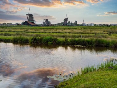 Günbatımında Zaanse Schans 'ın kırsal alanındaki güzel yel değirmenleri, Hollanda, Avrupa