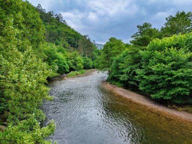 Güney Avrupa 'daki son somon nehirlerinden biri olan Puente Laneo yakınlarındaki Narcea Nehri, İspanya' nın Asturias belediyesi.